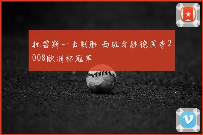 托雷斯一击制胜 西班牙胜德国夺2008欧洲杯冠军