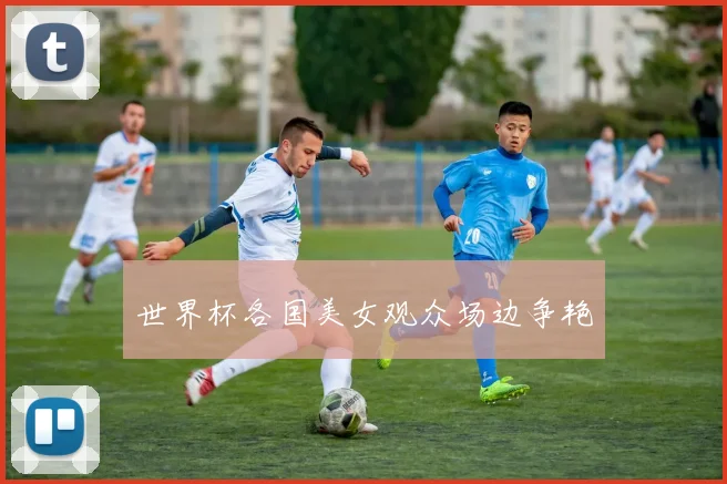 世界杯各国美女观众场边争艳