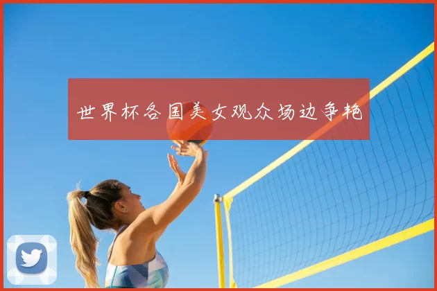 世界杯各国美女观众场边争艳