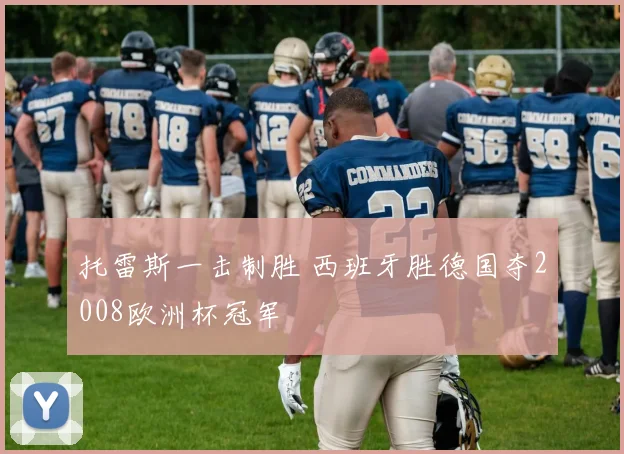 托雷斯一击制胜 西班牙胜德国夺2008欧洲杯冠军