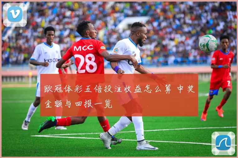 欧冠体彩五倍投注收益怎么算 中奖金额与回报一览